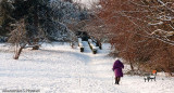 Snow walk