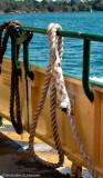 Ferry rope