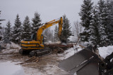 A front loader removes all wood III