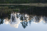 The pond at Lilla Klverd II