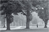 Parc du Cinquantenaire