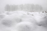 Open field, snow and fog - Veld met sneeuw en mist