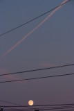 Full Moon
