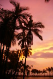 A Bay Sunset Big Island 2