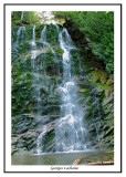 La Chute (Forillon)
