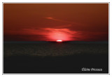 Assateague Island