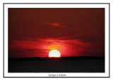 Assateague Island