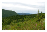 Parc de la Gaspésie