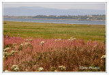 Isle-Verte