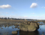 Along the rocky shore