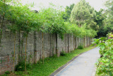 38_Kowloon Walled City Park.jpg