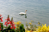 052_Montreux.jpg