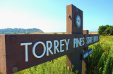 Torrey Pines State BeachJPG