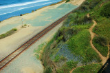 Torrey Pines path.JPG