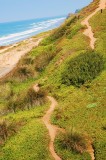 Torrey Pines path.JPG