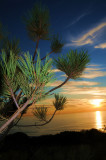 Torrey Pines 101508.jpg