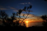 Torrey Pines 101508.jpg