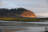 Torrey Pines 082910.JPG