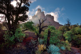 Bell rock 04-043D.jpg