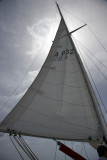 VG2F5427.jpg