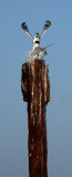 VG2F8028_filtered.jpg