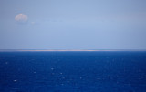 _S0C9044.jpg