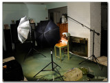 Basic 3 light studio - back drops to come...