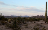 Campground at Dusk