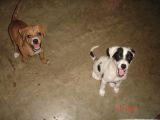 DSC02016.JPG