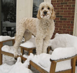 Snow Picnic!