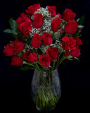 Valentines Day Roses