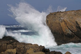 Point Lobos State Reserve just so. of Carmel 0007