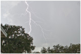 July 29, 2009