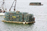 Lobster traps waiting for the season to begin.