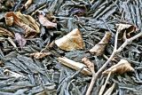 Mulch