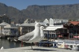 Enjoying the WaterFront