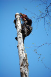 Chain Saw Massacre