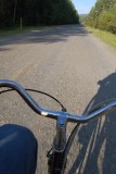 biking in the morning sun