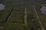 Back Home, Tulakes Airstrip