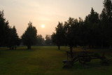 Manley Sunrise