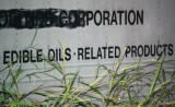 edible oils1.jpg