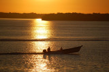 morning boat ride.jpg