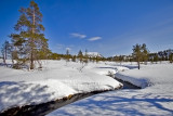 Svartjønn, Eastern 2009