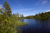 Himing Tjønn