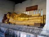 Resting Budda