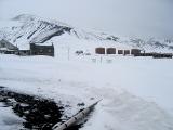 Whalers Bay overview