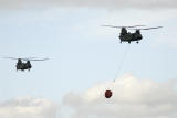 Chinooks with Bambi Bucket