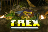 Disney World 1
