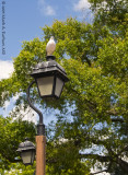 Disney World 46