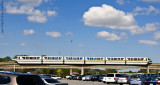 Disney World 120